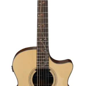 Wochenendangebot Ibanez AE275-LGS