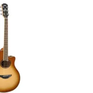 Ausverkauf Yamaha APX700II SDB