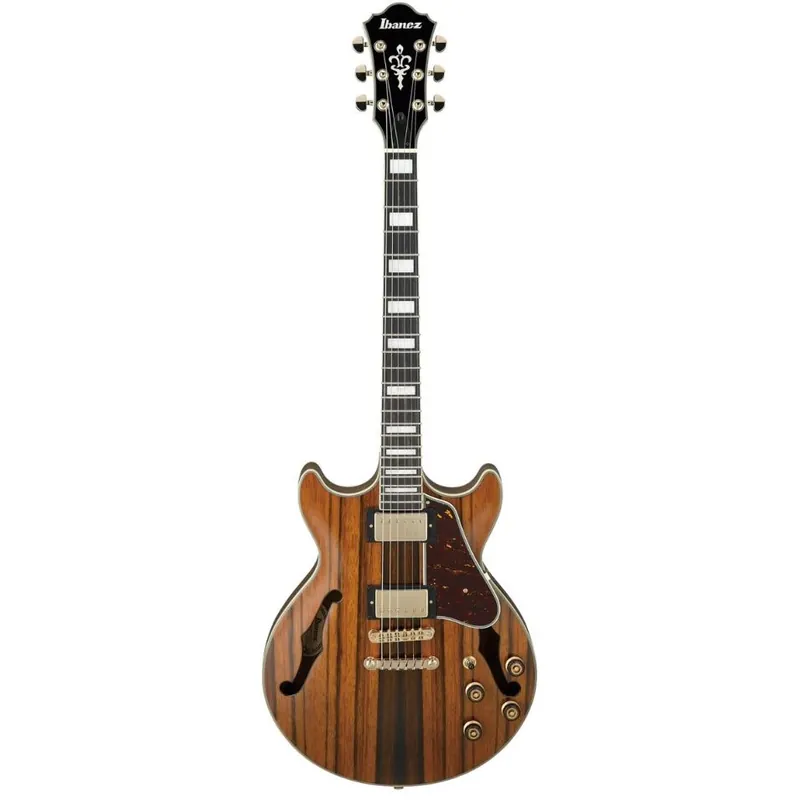 Wochenendangebot Ibanez AM93ME-NT