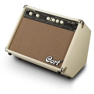 Letzte Chance Cort AF30 Gitarren Combo