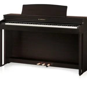 Kawai CN301 R Wochenendangebot