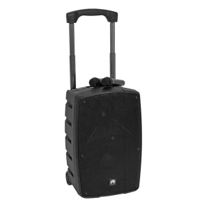 Neuheit OMNITRONIC WAMS-10BT2 MK2 Drahtlos-PA-System