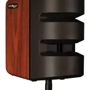 LR Baggs Synapse Personal PA System Kracherpreis