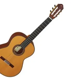 Echt Ortega M100CS