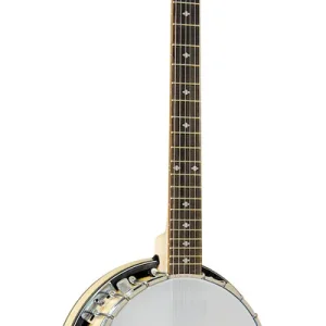 Sale Gold Tone GT-500 Delux Banjitar inkl. Pickup