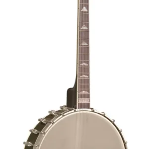 Bestseller Gold Tone IT-250 F Irish Tenor Banjo