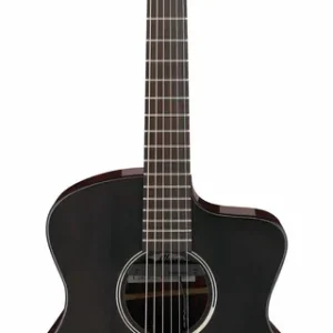 Wochenendangebot Ibanez JGM5-BSN