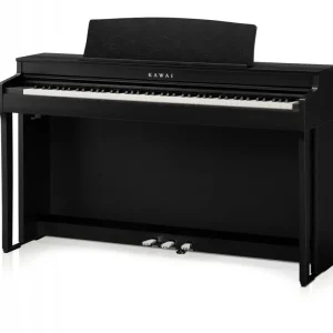Expressversand Kawai CN301 B