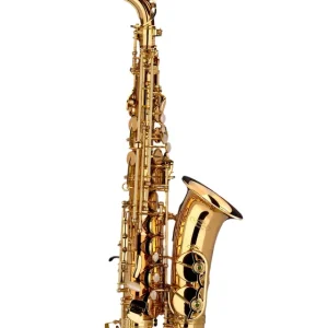 Schagerl Academica Altsaxophon A-900L Gratis Versand