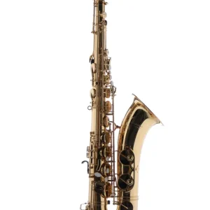 Preisknaller Schagerl Academica Tenorsaxophon T-900L