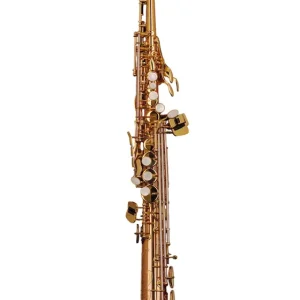 Expressversand Schagerl Superior Sopransaxophon S-1LG