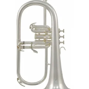 Direktkauf Venus Flügelhorn FG-300S