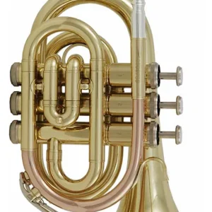 Sonderangebot Venus Taschentrompete PT-100