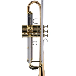 Mega-Angebot Schagerl Signature B-Trompete "Mnozilbrass"