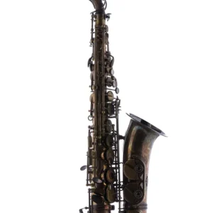 Jetzt Kaufen Schagerl SuperiorPro Altsaxophon A-2VB Bronze