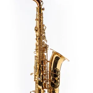 Schagerl Academica Altsaxophon A-920L-II Jubillee Edition Top-Angebot