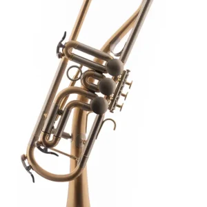 Sichere Zahlung Schagerl B-Trompete "GANSCHHORN" 2021 scratched lackiert