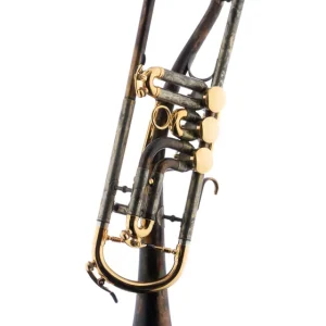 Schagerl B-Trompete "GANSCHHORN" 2021 vintage matt - gold Top-Seller