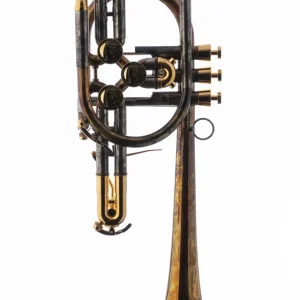 Begrenztes Angebot Schagerl B-Trompete "RAWENI" vintage clear - gold Parts
