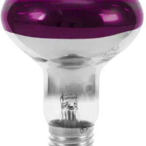 Nur Heute OMNILUX R80 230V/60W E-27 violett