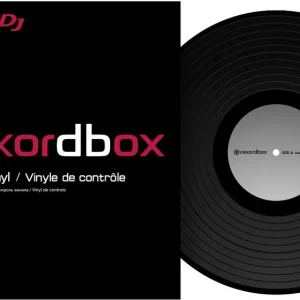 Pioneer DJ RB-VS1-K Control Vinyl Günstig