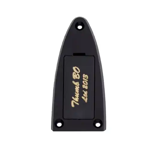 Warwick Parts - Easy-Access Truss Rod Cover for Warwick Thumb BO Ltd. 2013 Kostenloser Rückversand