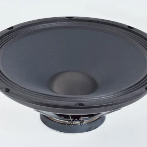 Warwick Amplification Parts - 15" Speaker / 150 W / 8 Ohm - for BC 150 Kostenloser Versand