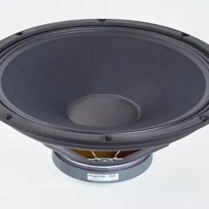 Kostenloser Versand Warwick Amplification Parts - 15" Celestion Speaker TF1525e / 300 W / 8 Ohm - for WCA 115 LW CE-8
