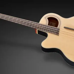 Neu Im Sortiment Warwick RockBass Alien Standard, Lefthand, 4-String, Fretless with Lines - Natural Transparent Satin