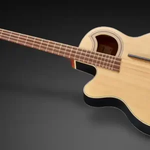 Warwick RockBass Alien Standard, Lefthand, 4-String - Natural Transparent Satin Sonderangebot