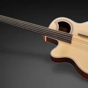 Preisreduziert Warwick RockBass Alien Deluxe, Lefthand, 5-String, Fretless - Natural Transparent Satin