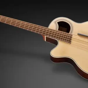 Warwick RockBass Alien Deluxe, Lefthand, 5-String - Natural Transparent Satin Top-Seller