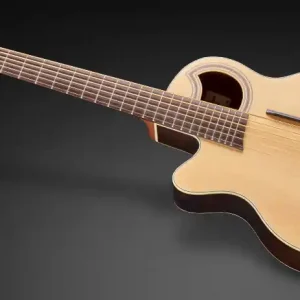 Warwick RockBass Alien Deluxe, Lefthand, 6-String - Natural Transparent Satin Preisreduziert