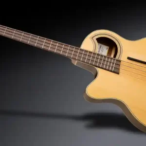 Warwick RockBass Alien Deluxe Hybrid Thinline, Lefthand, 4-String - Natural Transparent Satin Markenprodukt