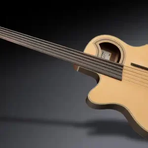 Warwick RockBass Alien Deluxe Hybrid Thinline, Lefthand, 5-String, Fretless - Natural Transparent Satin Jetzt Bestellen