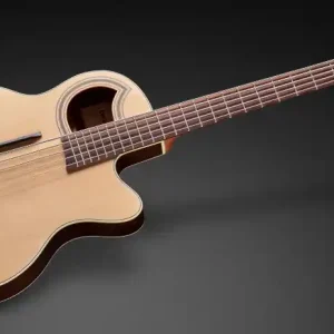 Garantierte Lieferung Warwick RockBass Alien Deluxe Hybrid Thinline, 5-String - Natural Transparent Satin