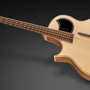 Top-Preis Warwick Alien, Lefthand, 4-String - Natural Transparent Satin