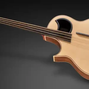 Warwick Alien, Lefthand, 4-String, Fretless - Natural Transparent Satin Must-Have