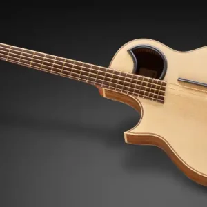 Günstig Warwick Alien, Lefthand, 5-String - Natural Transparent Satin