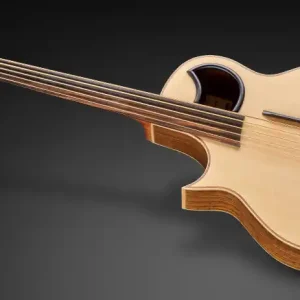 Nur Heute Warwick Alien, Lefthand, 5-String, Fretless - Natural Transparent Satin