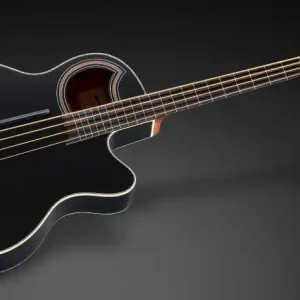 Preiswert Warwick RockBass Alien Standard, 4-String, Fretless with Lines - Solid Black Satin