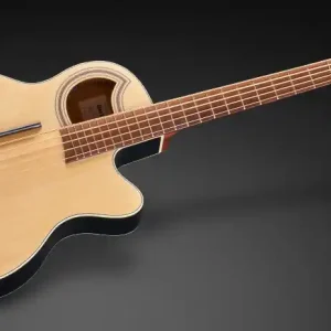 Rabatt Warwick RockBass Alien Standard, 5-String - Natural Transparent Satin