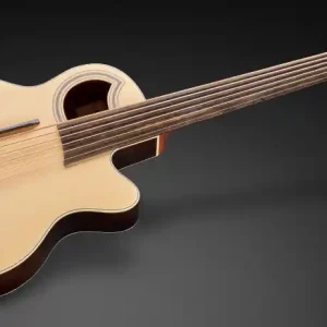 Online Kaufen Warwick RockBass Alien Deluxe, 6-String, Fretless - Natural Transparent Satin