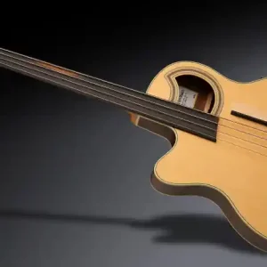 Preisreduziert Warwick RockBass Alien Deluxe Hybrid Thinline, Lefthand, 4-String, Fretless - Natural Transparent Satin