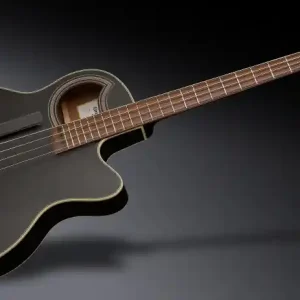 Jetzt Kaufen Warwick RockBass Alien Deluxe Hybrid Thinline, 4-String - Solid Black Satin