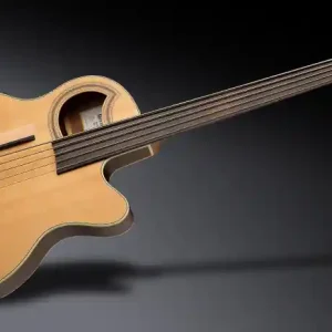 Abverkauf Warwick RockBass Alien Deluxe Hybrid Thinline, 5-String, Fretless - Natural Transparent Satin