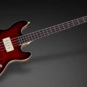 Bestseller Warwick Masterbuilt Sklar Bass I Signature, 4-String - Bungundy BlackBurst Transparent High Polish
