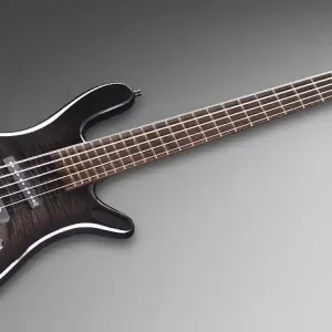 Bestseller Warwick Masterbuilt Streamer Jazzman, 5-String - Nirvana Blackburst Transparent High Polish