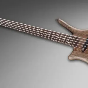 Echt Warwick Masterbuilt Dolphin Pro I, Lefthand, 5-String - Natural Oil Finish, Gold Hardware