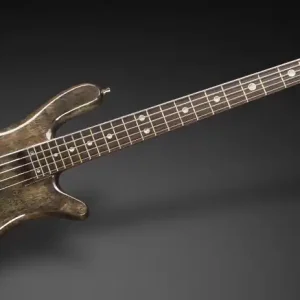 Direkt Vom Hersteller Warwick Masterbuilt Streamer Stage II, 5-String - Nirvana Black Transparent High Polish, Gold Hardware
